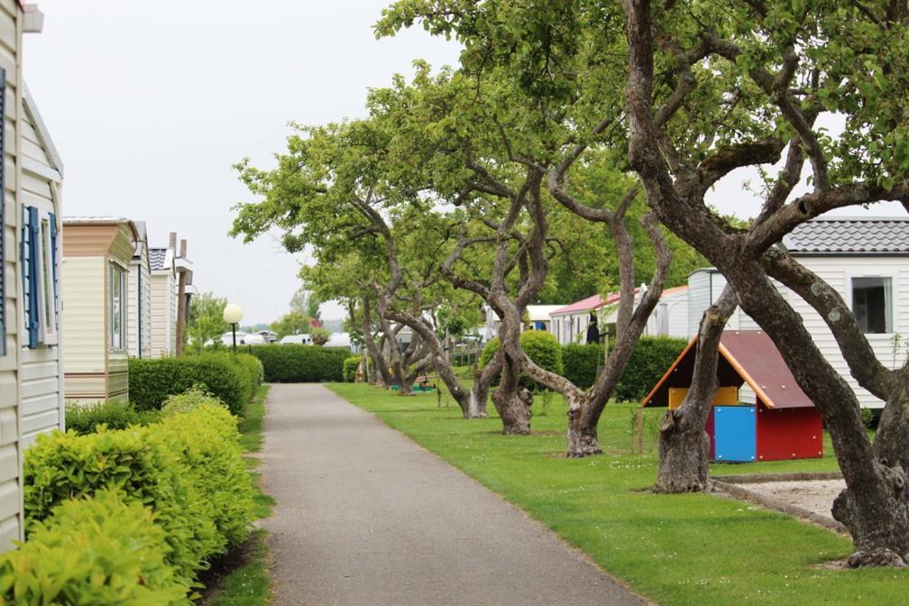 Siblu Camping In De Bongerd Oostkapelle Extérieur photo